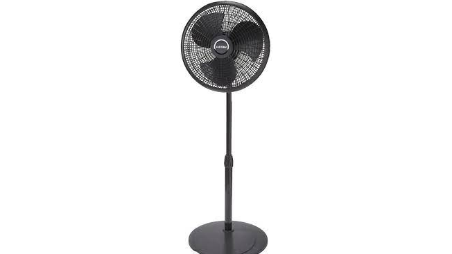 Pedestal Fan - Black