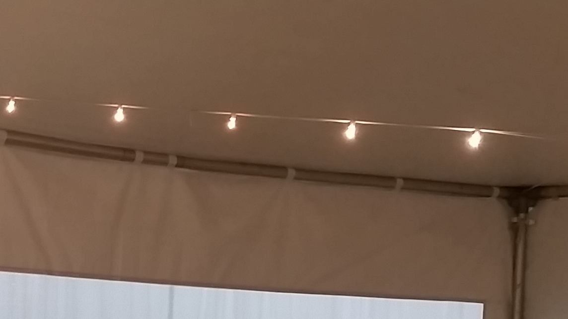 Lighting Cafe 50 ft.