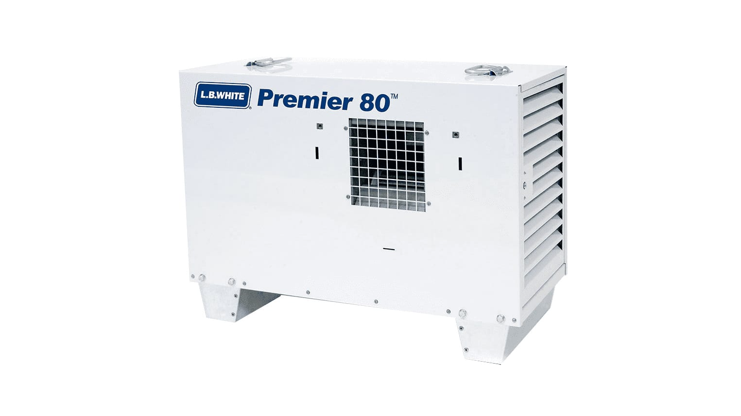 Propane / Electric 80,000 BTU Heater
