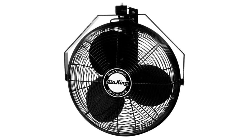 Fans