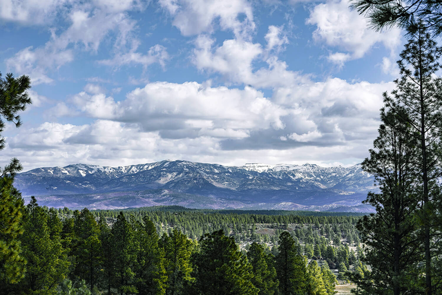 pagosa-springs-party-rentals