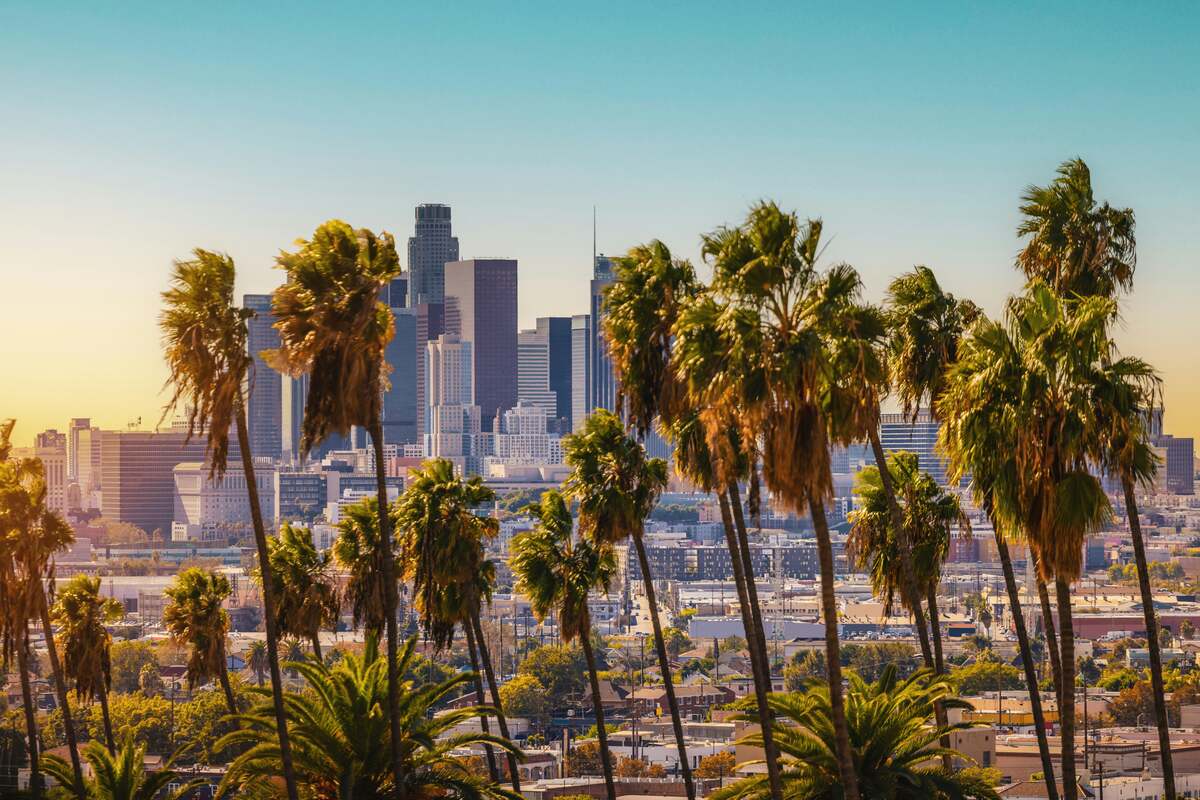 Reventals Los Angeles Party Rentals