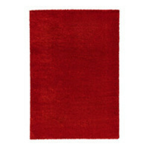 Red Rug rental New Orleans, LA