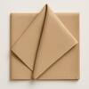 Polyester Napkins rental in New York, NY