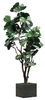 Fiddle Fig - Artificial rental in Chicago, IL