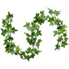 Decorative Ivy rental in Chicago, IL