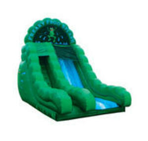18' Dry Slide - Frog rental Chicago, IL