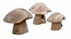 Wooden Mushrooms rental in Chicago, IL