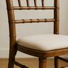 Fruitwood Chiavari Chair with Padded Cushion rental in Chicago, IL