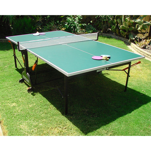 Ping Pong Table rental San Diego, CA