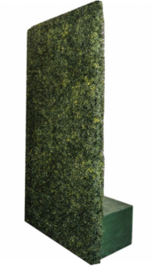 Tall Boxwood Hedge rental San Diego, CA