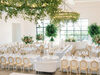 King Louis Chair rental in Austin, TX