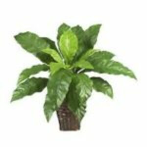 Artificial Fern Plant  rental Dallas-Ft. Worth, TX