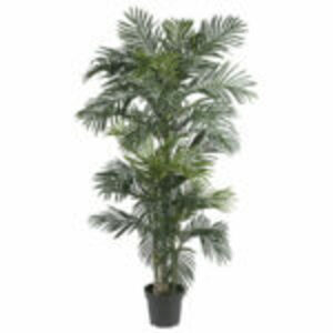 Artificial Palm Tree  rental Dallas-Ft. Worth, TX