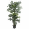 Artificial Palm Tree  rental in Dallas-Ft. Worth, TX