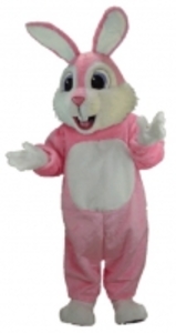 Mascot Costumes rental Dallas-Ft. Worth, TX