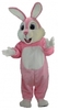 Mascot Costumes rental in Dallas-Ft. Worth, TX