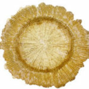 Reef Gold Charger Rentals rental Dallas-Ft. Worth, TX
