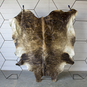 Cowhide Rug rental Dallas-Ft. Worth, TX