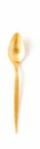 Gold Spoon rental Austin, TX