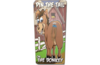 Pin the Tail on the Donkey Carnival Game rental in Dallas-Ft. Worth, TX