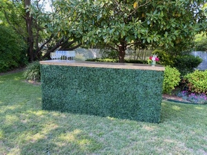 Boxwood Greenery Bar rental Dallas-Ft. Worth, TX