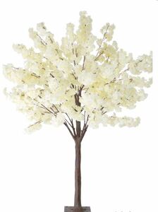 Dogwood Tree rental Dallas-Ft. Worth, TX