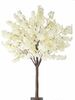 Dogwood Tree rental in Dallas-Ft. Worth, TX