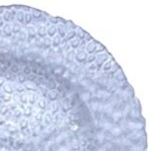 Bubble Glass Dinner Plate  rental Houston, TX