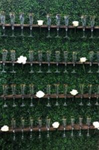Champagne Wall rental Seattle-Tacoma, WA