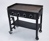 Propane Griddle 36" rental in Austin, TX