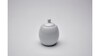 Porcelain Sugar rental in Austin, TX