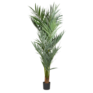 Artificial Palm Tree rental San Francisco-Oakland-San Jose, CA