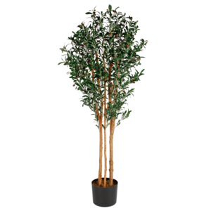 Artificial Olive Tree rental San Francisco-Oakland-San Jose, CA