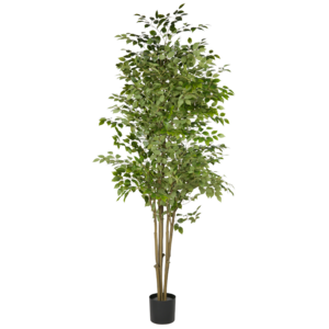 Artificial Ficus Tree rental San Francisco-Oakland-San Jose, CA