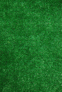 Faux Grass Area Rug rental San Francisco-Oakland-San Jose, CA