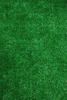 Faux Grass Area Rug rental in San Francisco-Oakland-San Jose, CA