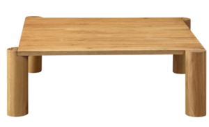 Sotol Coffee Table rental Austin, TX