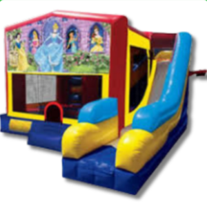 DISNEY PRINCESS COMBO rental Nashville, TN