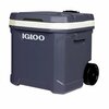 60 Qt Cooler rental in Philadelphia, PA