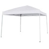10 x 10 Canopy / Pop Up Tent rental in Atlanta, GA