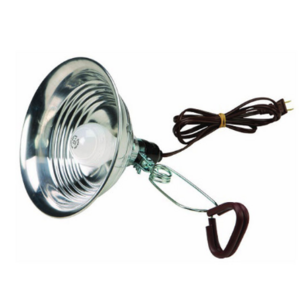 Clamp Light rental Philadelphia, PA