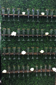 Champagne Wall rental Denver, CO