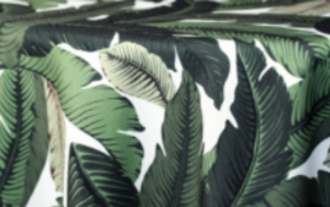 Banana Leaf Napkins rental Denver, CO