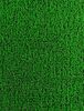 Astro Turf rental in Atlanta, GA