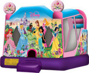 Disney Bouncy House rental Austin, TX