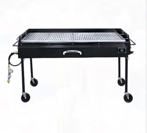 Propane Grill rental Austin, TX
