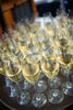 Champagne Flute 7Oz rental in Austin, TX