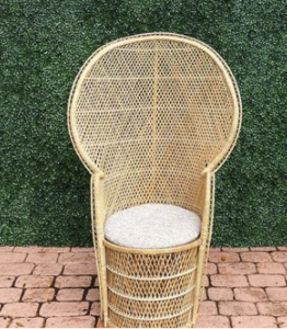Peacock Chair rental Miami-Ft. Lauderdale, FL