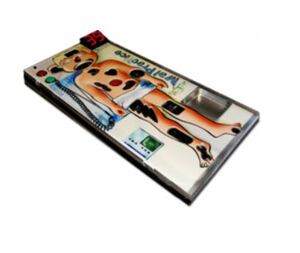 Giant Operation rental Westchester, NY